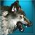 :iconspartan-c13: