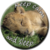 :iconspartanlion: