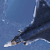 :iconspartans058: