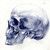 :iconspartanwildwolf: