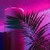 :iconspartaque12: