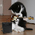 :iconspastic-sanity: