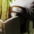 :iconspaventapasserii: