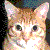 :iconspazchicsplatz: