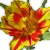 :iconspaztic: