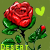 :iconspazticcreation: