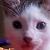 :iconspazzie23: