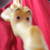 :iconspazzygiraffeplz: