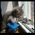 :iconspdk1: