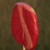 :iconspdyvkng: