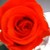 :iconspeakerwithnovoice: