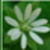 :iconspearswind: