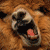 :iconspecial-one: