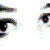 :iconspecial-stock: