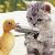 :iconspecialk78: