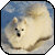 :iconspecifistic: