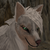 :iconspeckleddevil: