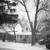 :iconspectacled-toad: