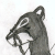:iconSpecterePrime:
