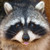 :iconspectrum26: