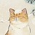 :iconspectrumpaw: