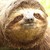 :iconspeeddealerbob: