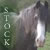 :iconspeeddemon-stock:
