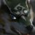 :iconspeedhero:
