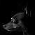 :iconspeedingupoctave: