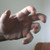 :iconspeedking47: