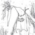 :iconspeedwagon30: