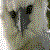 :iconspeedwobble: