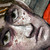 :iconspeedwobble: