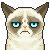 :iconspeedysloth-lainers: