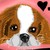 :iconspeedysoftball13: