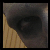 :iconspelledaren: