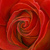 :iconspellscarlet: