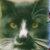 :iconspenser-tabby: