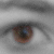 :iconspfreak97868: