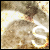 :iconsphinx89: