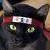 :iconSphinxhead:
