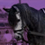:iconSpice-lover: