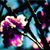 :iconspicy-sweet: