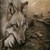 :iconspicycanine: