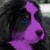 :iconspicyfreak: