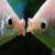 :iconspicymustard09: