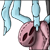 :iconspider-pie: