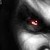 :iconspider453625: