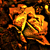 :iconSpiderAngel: