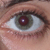 :iconspiderangelwing: